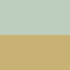 Light Green meets Gold