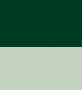 Dark Green meets Light Green